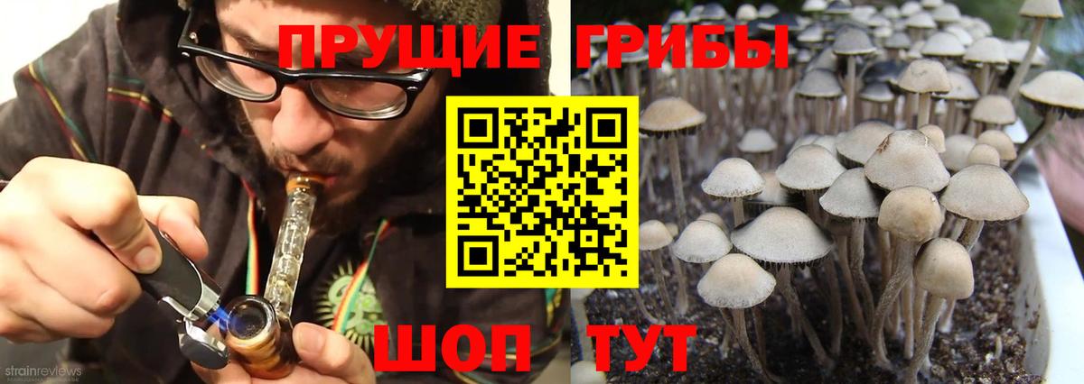 что такое   Вход с VPN  Лангепас  Галлюциногенные грибы прущие грибы 